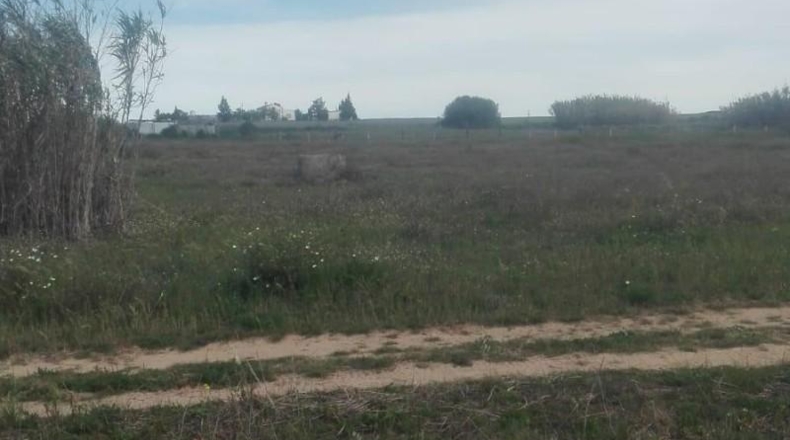 Huelva - La Palma del Condado - 26000m2