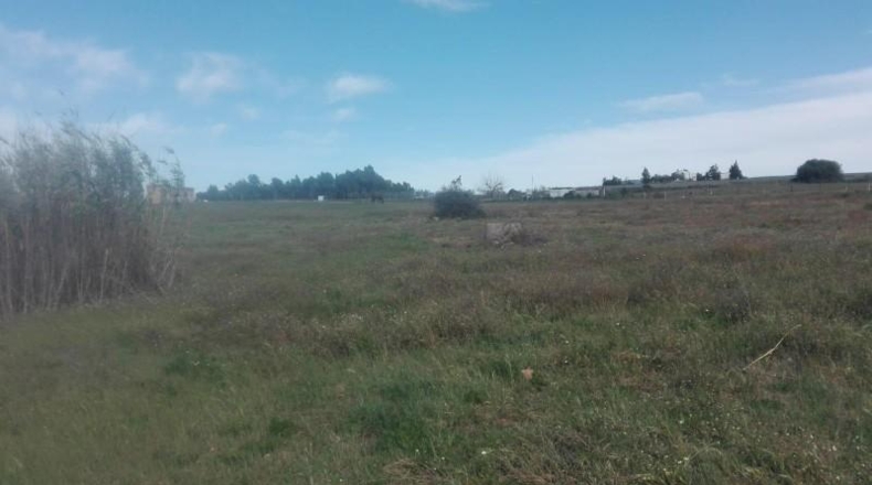 Huelva - La Palma del Condado - 26000m2