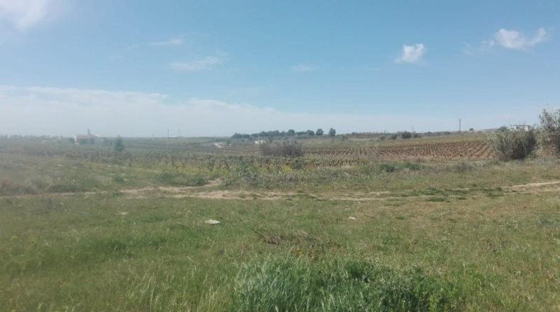 Huelva - La Palma del Condado - 26000m2