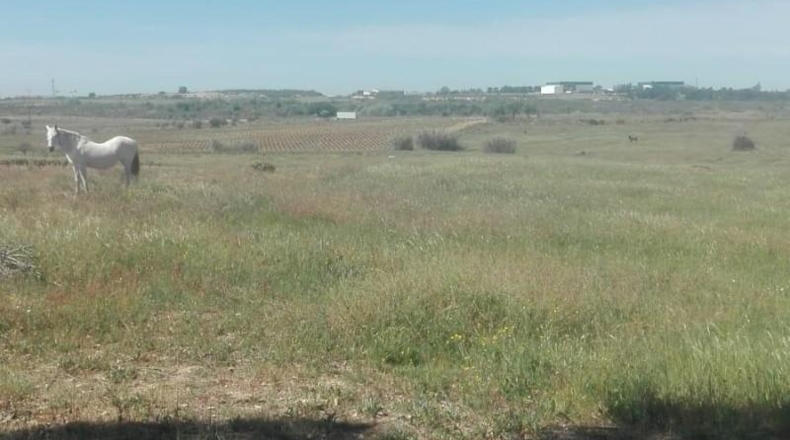 Huelva - La Palma del Condado - 26000m2