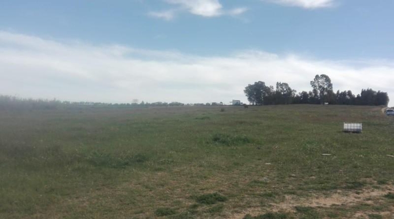 Huelva - La Palma del Condado - 26000m2