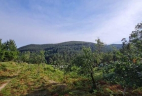 Tomiño 4350&nbsp;m²