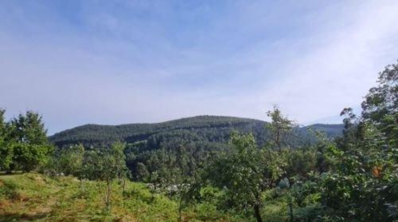 Pontevedra - Tomiño - 4350m2