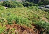Sòl urbà en venda a la España, Tomiño, ref.: TR124755 foto
