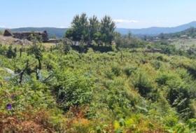 Tomiño 4350&nbsp;m²