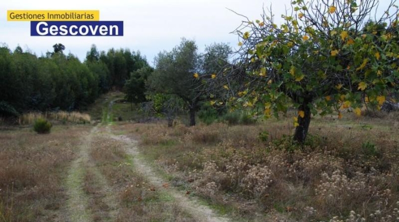 Cáceres - Valencia de Alcántara - 7200m2