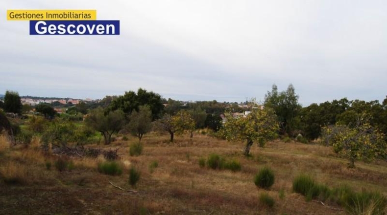 Cáceres - Valencia de Alcántara - 7200m2