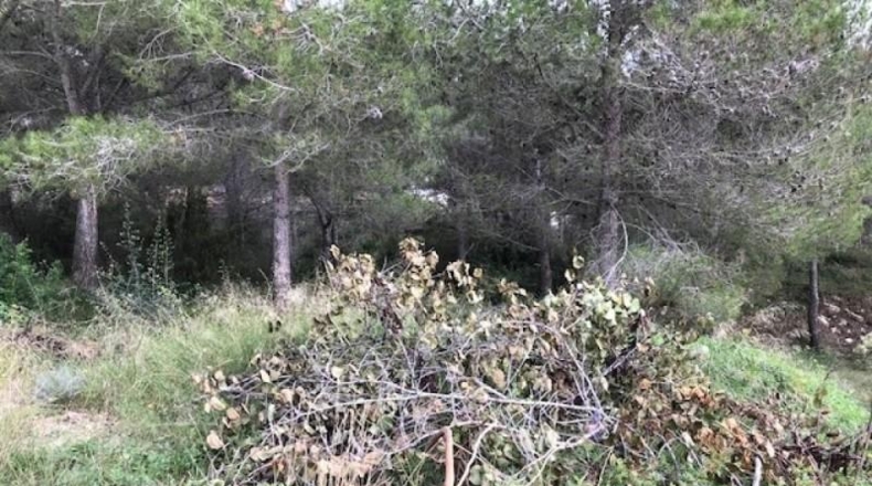 Barcelona - Canyelles - 474m2