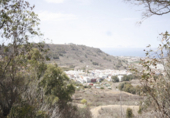 Terreno no urbanizable en venta en la España, Arucas, ref: TR114009 foto