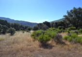 Terreno no urbanizable en venta en la España, Oliva de Plasencia, ref: TR114558 foto