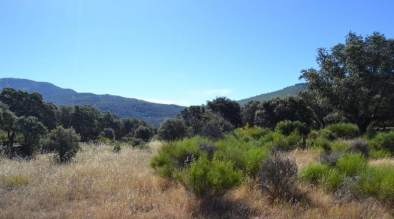 Cáceres - Oliva de Plasencia - 18853m2