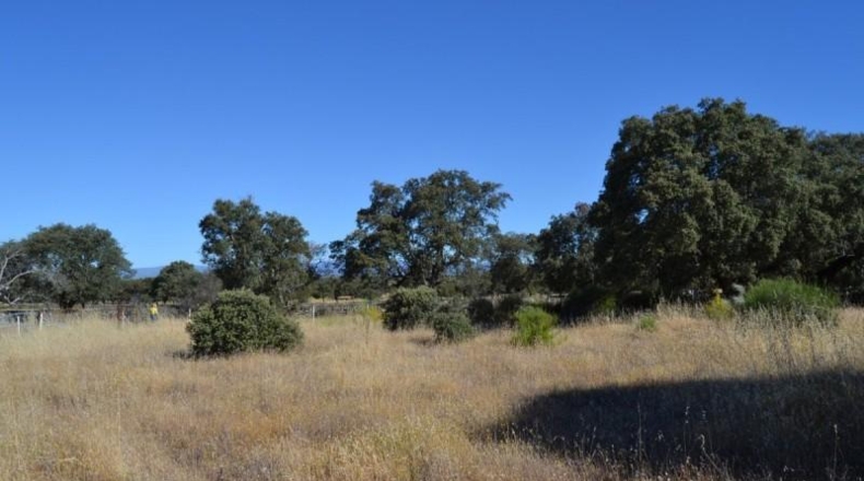 Cáceres - Oliva de Plasencia - 18853m2