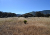 Terreno no urbanizable en venta en la España, Oliva de Plasencia, ref: TR114558 foto