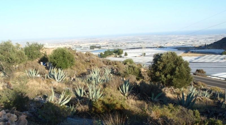 Almería - Эль-Эхидо - 33000m2