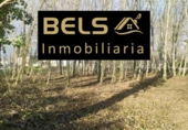 Land suitable for development for sale on España, Carracedelo, ref: TR115522 photo
