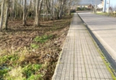 Land suitable for development for sale on España, Carracedelo, ref: TR115522 photo