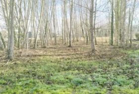 Foto 9