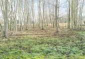 Land suitable for development for sale on España, Carracedelo, ref: TR115522 photo