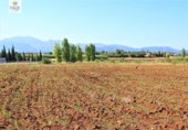 Terreny no urbanitzable en venda a la España, Llubí, ref.: TR116091 foto