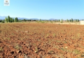 Terreny no urbanitzable en venda a la España, Llubí, ref.: TR116091 foto