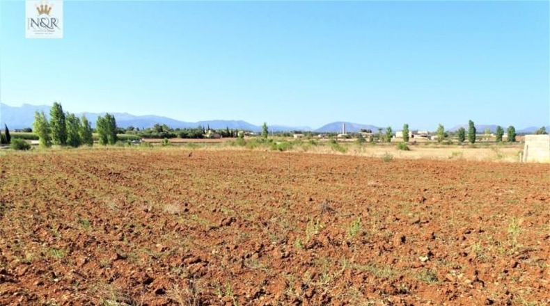 Balearic Islands - Llubí - 7500m2