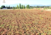 Terreny no urbanitzable en venda a la España, Llubí, ref.: TR116091 foto