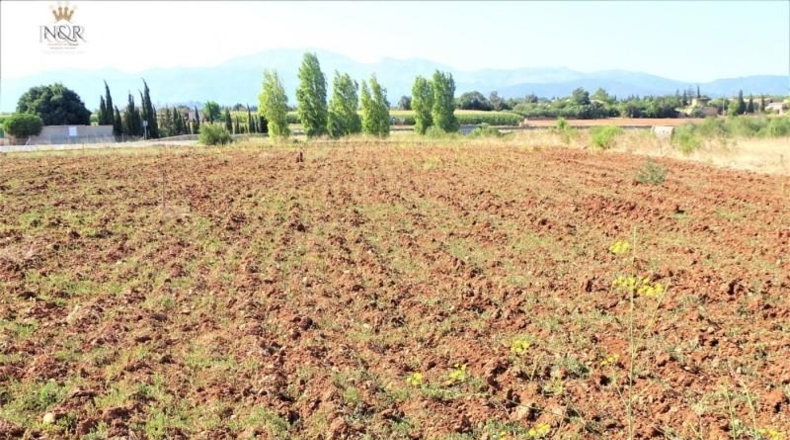 Balearic Islands - Llubí - 7500m2