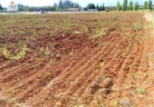 Terreny no urbanitzable en venda a la España, Llubí, ref.: TR116091 foto