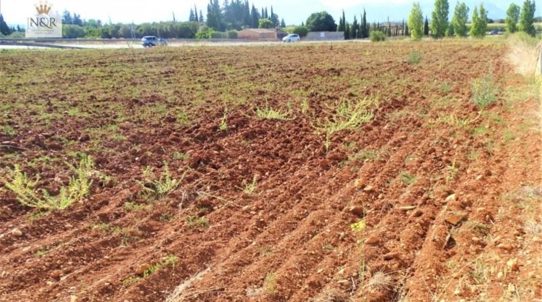 Balearic Islands - Llubí - 7500m2