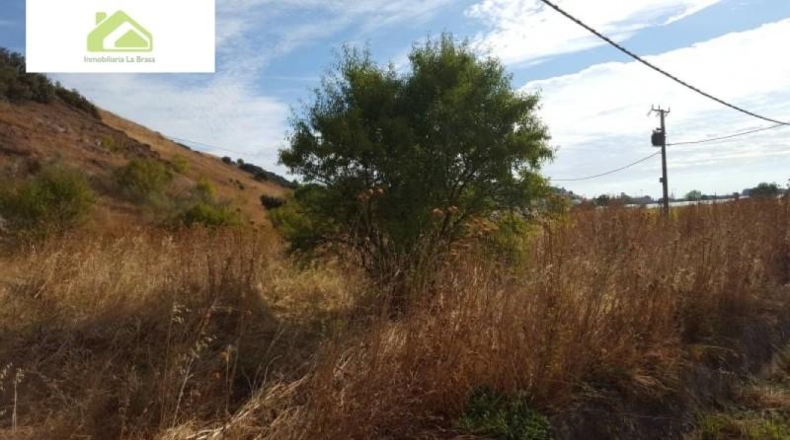 Zamora - Zamora - 1500m2