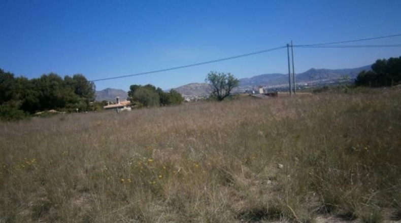 Alicante - Monóvar - 6500m2