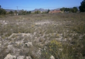 Terreno no urbanizable en venta en la España, Monóvar, ref: TR122103 foto
