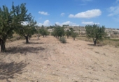 Parcel·la urbanitzable en venda a la España, Monòver, ref.: TR122139 foto