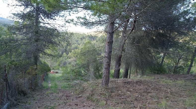Tarragona - Querol - 1680m2