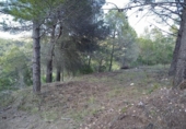 Parcela urbanizable en venta en la España, Santa Oliva, ref: TR122968 foto