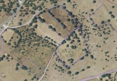 Terreno no urbanizable en venta en la España, Oliva de Plasencia, ref: TR122993 foto