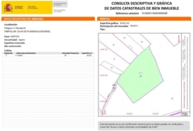 Oliva de Plasencia 20531&nbsp;m²