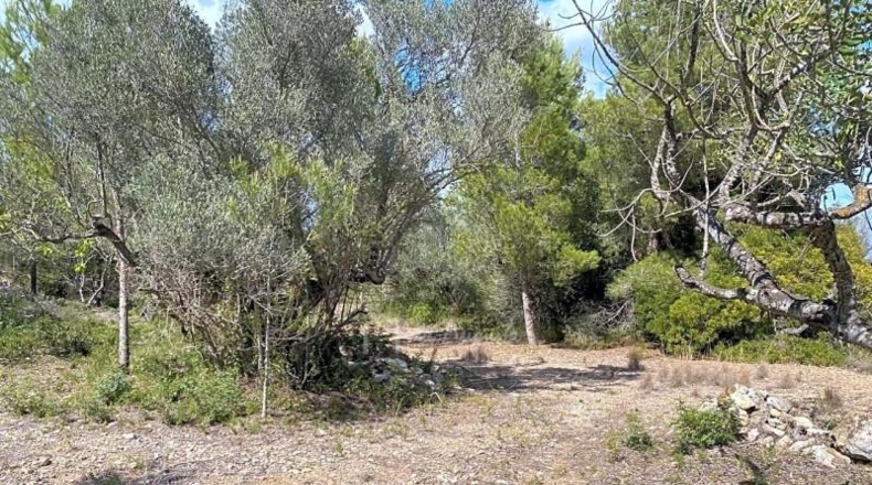 Tarragona - el Perelló - 16518m2