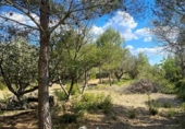 Terreny no urbanitzable en venda a la España, el Perelló, ref.: TR123290 foto