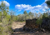 Terreny no urbanitzable en venda a la España, el Perelló, ref.: TR123290 foto