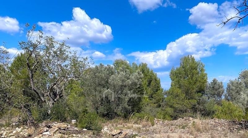 Tarragona - el Perelló - 16518m2