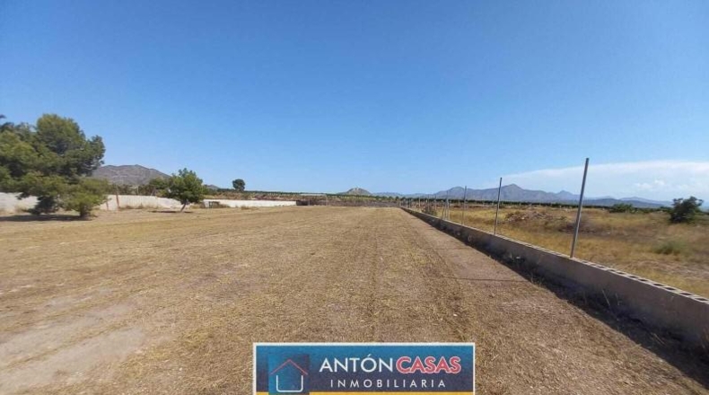 Alicante - Novelda - 4865m2