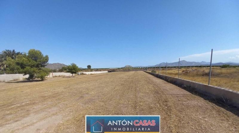 Alicante - Novelda - 4865m2