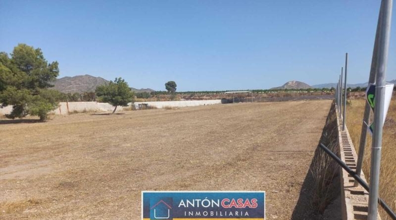 Alicante - Novelda - 4865m2
