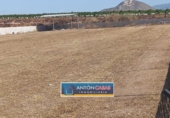 Земля на продажу у города Новельда Фото
