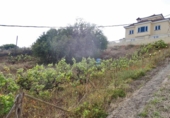 Parcela urbanizable en venta en la España, Santa Brígida, ref: TR243316 foto