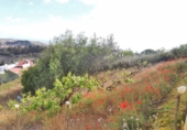 Parcela urbanizable en venta en la España, Santa Brígida, ref: TR243316 foto