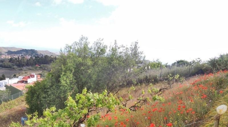 Las Palmas - Santa Brígida - 308m2