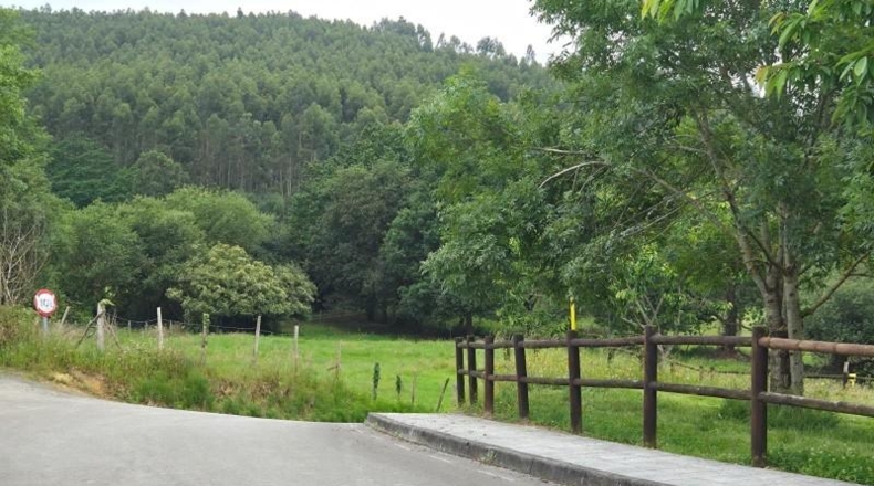 Cantabria - Bárcena de Cicero - 3000m2