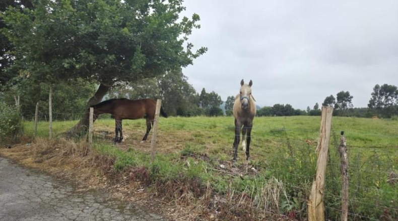 Cantabria - Bárcena de Cicero - 3000m2